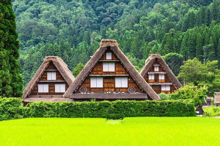 Shirakawago and Takayama 1 Day Bus Tour from Nagoya - Who will enjoy this day trip