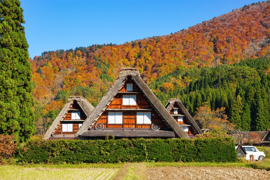 Shirakawago and Takayama 1 Day Bus Tour from Nagoya - Shirakawago and the roofs shaped like praying hands