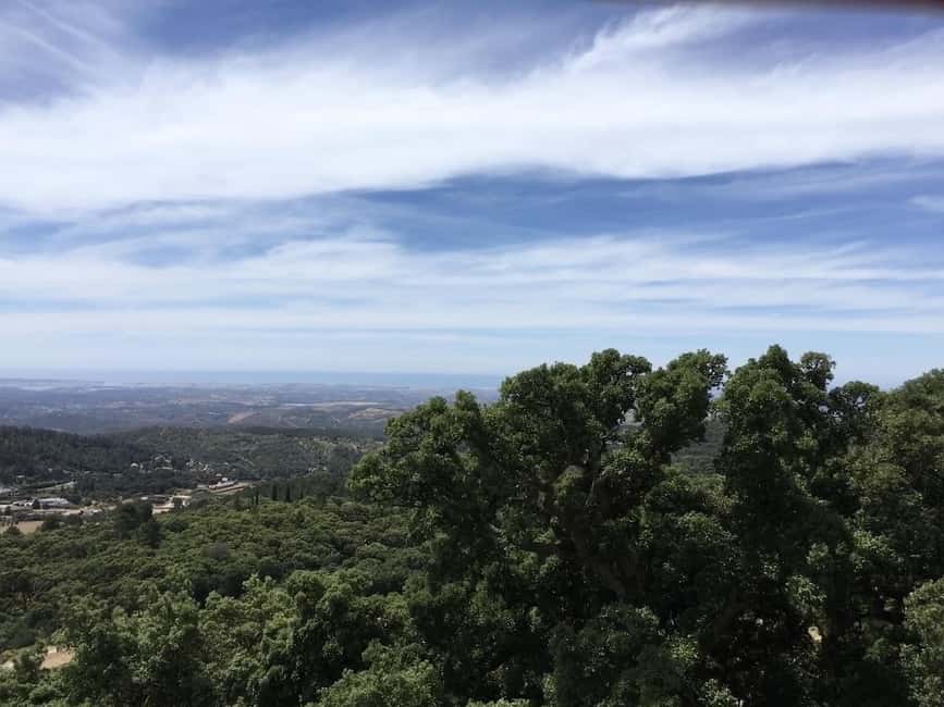 Silves and Monchique Mountain: Guided Bus Tour - Climbing into the Monchique Mountains