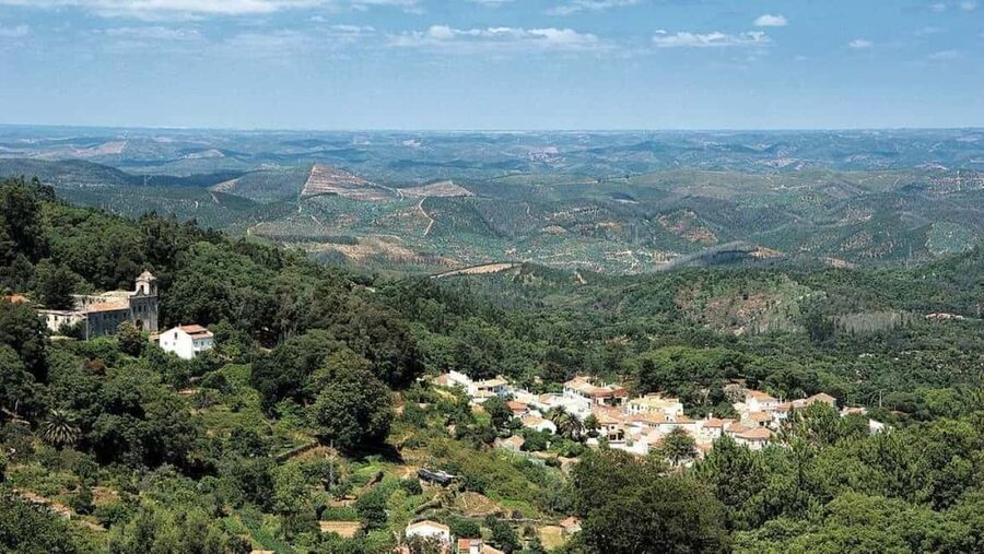 Silves and Monchique Mountain: Guided Bus Tour - The guide, language, and pace of the day