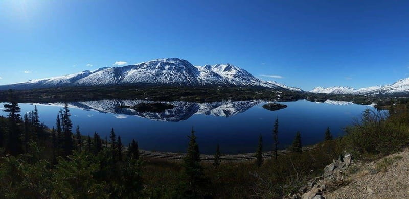 Skagway: Klondike Highway & Yukon Bus Tour with Husky Kennel - Is $165 a fair price?