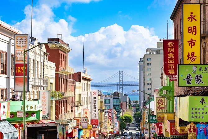Skip The Bus: San Francisco By Luxury Van Tour - Alamo Square and the Painted Ladies
