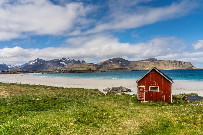 Special Summer Cruise Bus Tour of Lofoten - Why this bus tour makes sense from Leknes