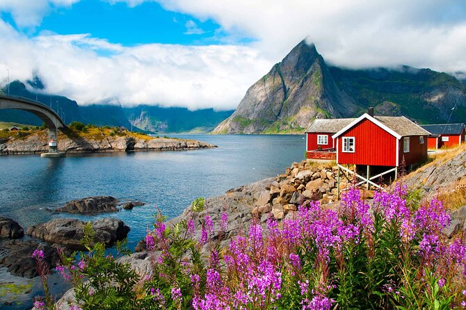 Special Summer Cruise Bus Tour of Lofoten - Sakrisøya adds bright color before the return
