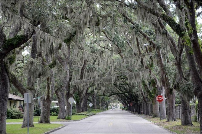 St. Augustine Hop-On Hop-Off Trolley Tour - The Castillo, Ripley’s, and the return toward San Marco
