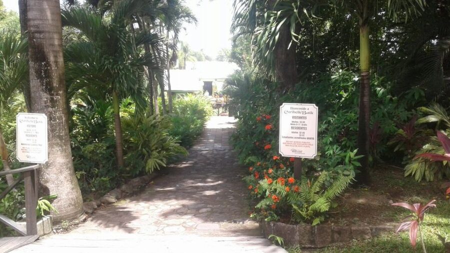 St. Kitts Island Half-Day Bus Tour - Value, Flexibility, and Who Should Book