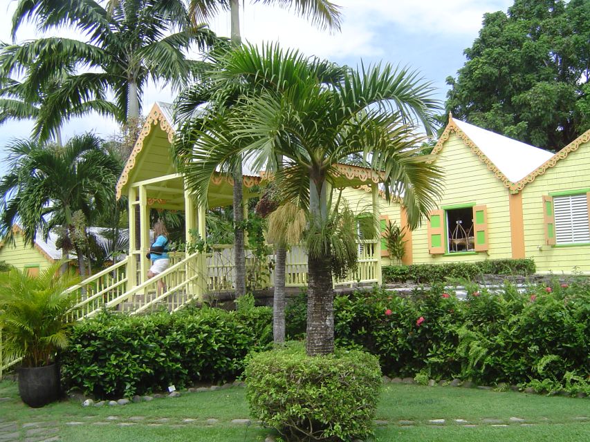 St. Kitts Island Half-Day Bus Tour - Why This Half-Day Tour Works as a First Look at St. Kitts