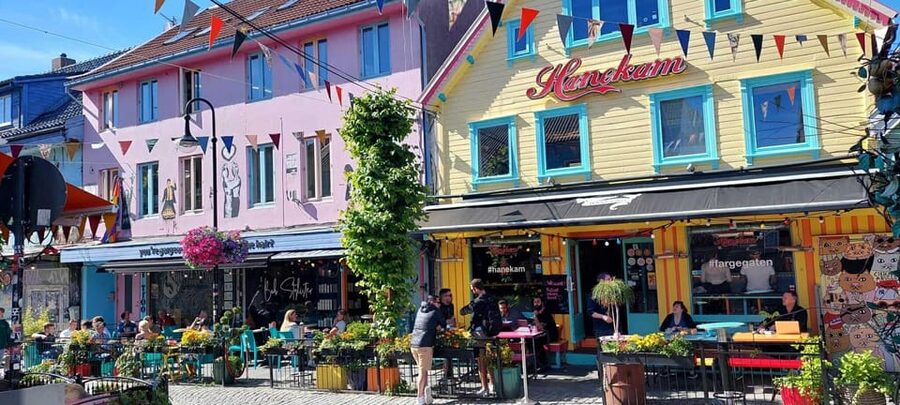 Stavanger: City Highlights Bus and Walking Tour - Why this tour works as a Stavanger introduction