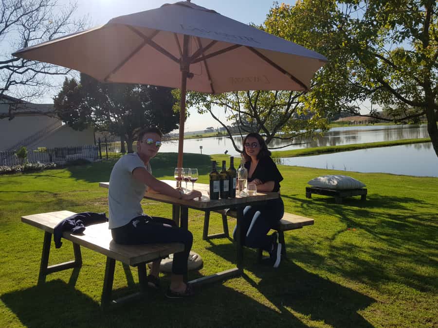Stellenbosch: Hop-On Hop-Off Northern Route Wine Tour - Morgenhof and Beyerskloof broaden the route