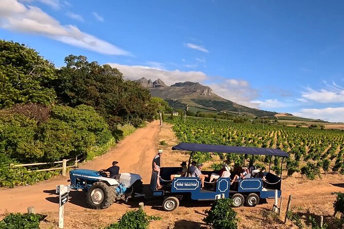 Stellenbosch Wine Tractor hop-on-hop off wine tasting tour - Why a tractor works so well in Stellenbosch