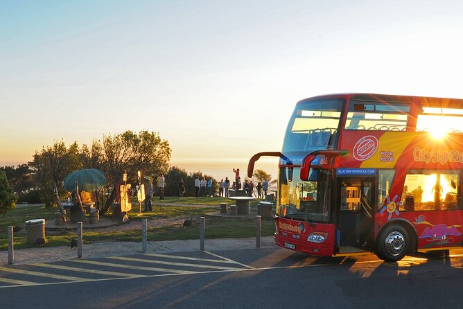 Summer Sunset Bus Tour in Cape Town - Meeting at the V&A Waterfront at 4:45 pm