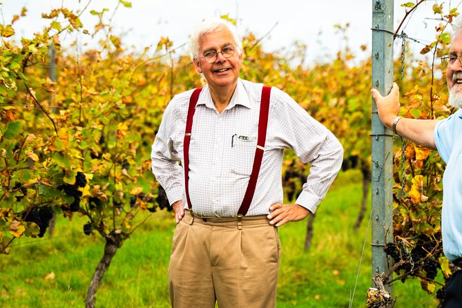 Sussex Vineyard & Winery Bus Tour on Iconic Vintage London Bus - Court Gardens Farm, vines and English sparkling wine
