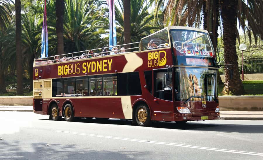 Sydney: Big Bus Hop-On Hop-Off Tour with Optional Cruise - Should you book the Big Bus Sydney tour?