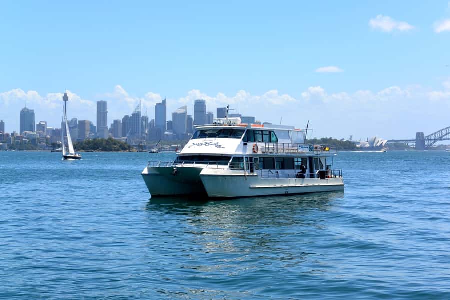 Sydney: Morning Sightseeing Bus to Bondi with Lunch Cruise - Mrs Macquarie’s Point delivers the classic postcard view