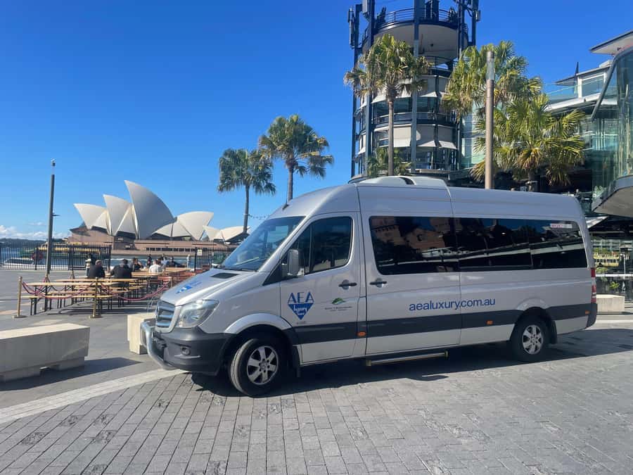 Sydney: Morning Sightseeing Bus to Bondi with Lunch Cruise - Rose Bay shows Sydney’s polished eastern side