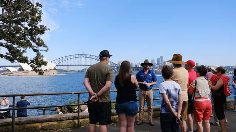 Sydney: Morning Sightseeing Bus to Bondi with Lunch Cruise - The Gap adds cliffs and open sea
