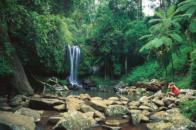Tamborine Mountain - Hop On Hop Off - From Brisbane - Key things to know before you book