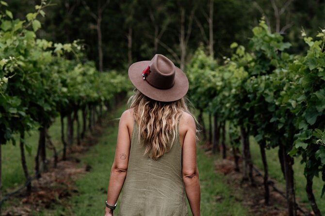 Tamborine Mountain - Hop On Hop Off - From Brisbane - Leaving Brisbane for the Scenic Rim