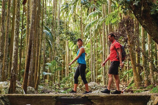 Tamborine Mountain - Hop On Hop Off - From Brisbane - How the hop-on hop-off setup really works