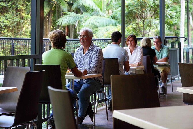 Tamborine Rainforest Skywalk + Hop on Hop off Bus - What the mixed feedback means for your decision