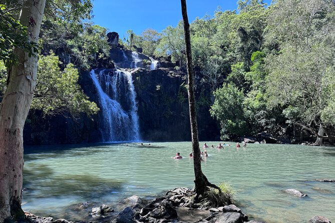 The Airlie Sightseeing Bus – (Cruise-Ship Friendly) - A smart half-day way to see Airlie Beach