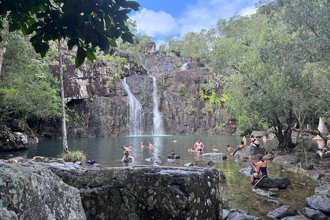 The Airlie Sightseeing Bus – (Cruise-Ship Friendly) - Whitsunday Gold Coffee Plantation: a country stop with a local flavor