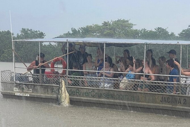 The Croc Bus to the Famous Jumping Crocodile Cruise - Stop two: one hour on crocodile-infested water