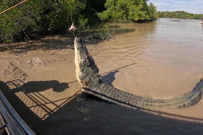 The Croc Bus to the Famous Jumping Crocodile Cruise - Is $93.24 good value?