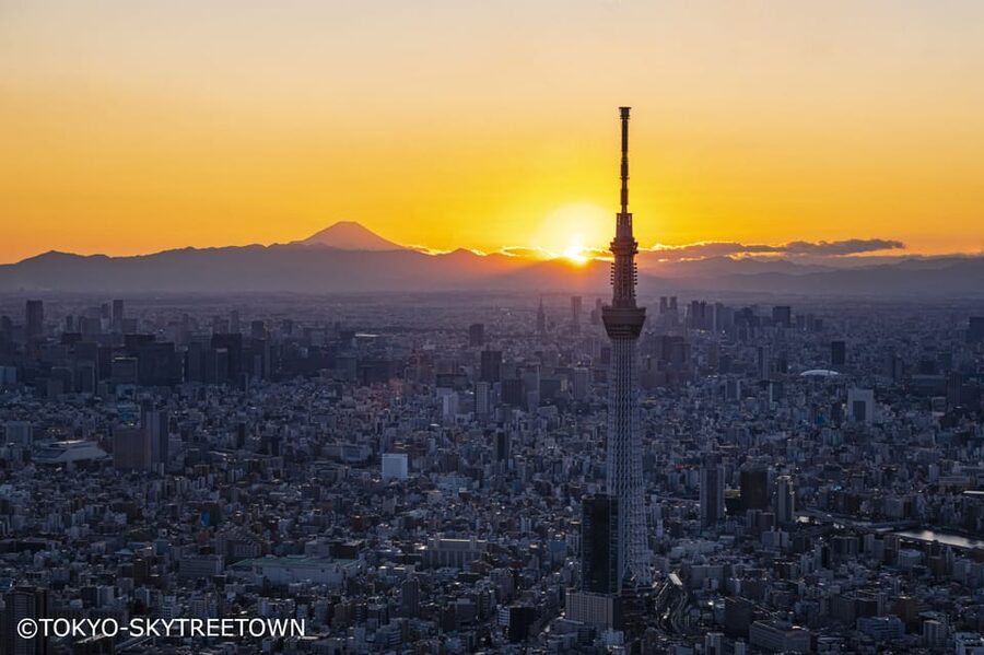 Tokyo: 1 Day Bus Tour with Meiji-Jingu,Odaiba,lunch&Skytree - What this Tokyo bus tour is really designed to do