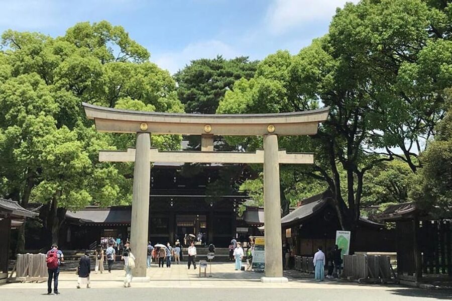 Tokyo: 1 Day Bus Tour with Meiji-Jingu,Odaiba,lunch&Skytree - Mobility, pace, and what to wear