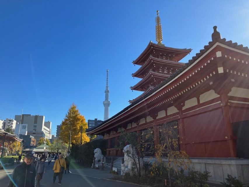 Tokyo: A Half-Day Trip Bus Tour in the Morning - The guides are a major part of the experience