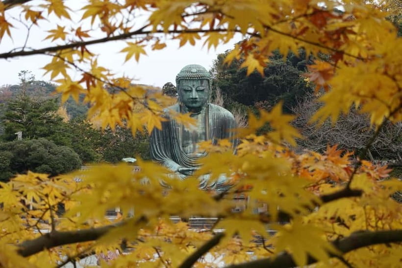 Tokyo: Kamakura & Enoshima Day Trip including Temple Tickets - Transport, timing, and the real value of $58