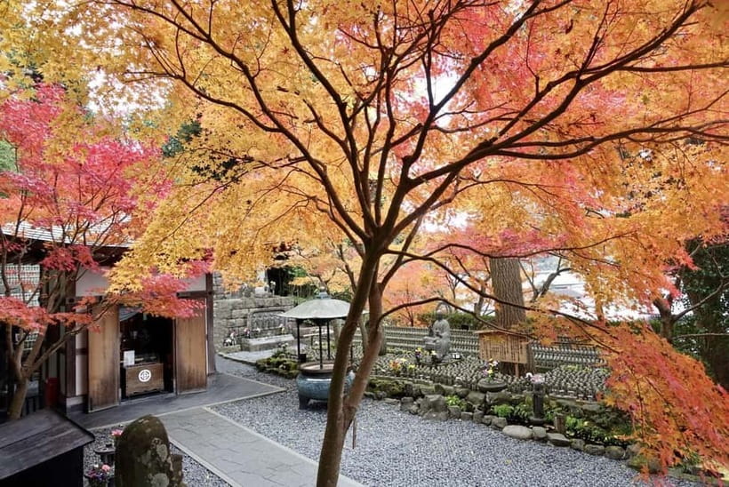 Tokyo: Kamakura & Enoshima Day Trip including Temple Tickets - Why Kamakura makes such a good day out from Tokyo