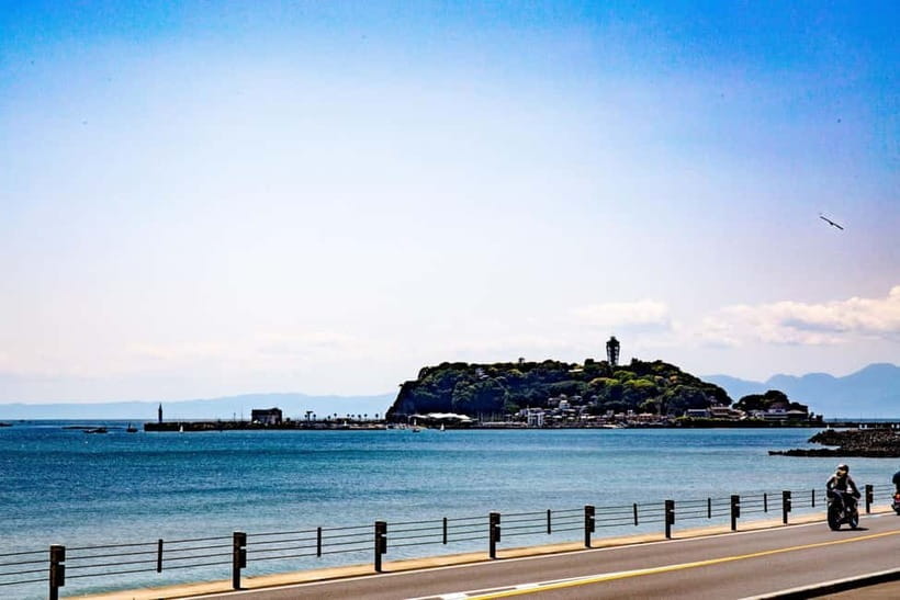 Tokyo: Kamakura & Enoshima Day Trip including Temple Tickets - Komachi Street: one hour for snacks and shopping