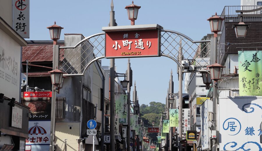 Tokyo: Kamakura & Enoshima Day Trip including Temple Tickets - Hasedera: flowers, views, and the Eleven-Headed Kannon