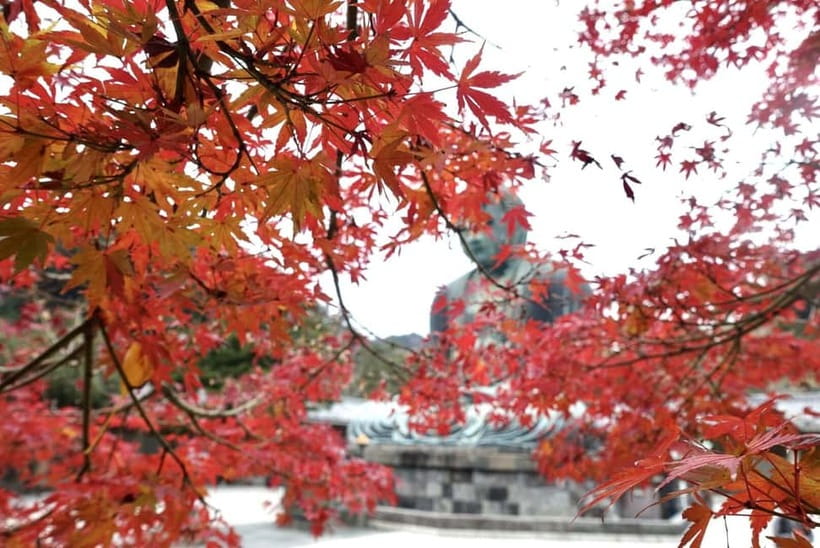 Tokyo: Kamakura & Enoshima Day Trip including Temple Tickets - What the guide adds to a busy schedule