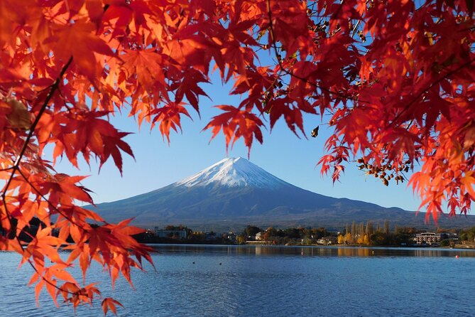 Tokyo: Mt.Fuji & Lake Kawaguchiko 1-Day Bus Tour w/Optional Lunch - Why this Mt. Fuji day trip works from Tokyo