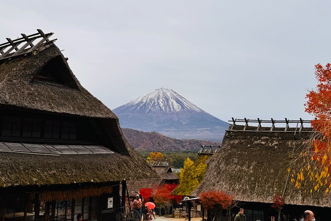 Tokyo: Mt.Fuji & Lake Kawaguchiko 1-Day Bus Tour w/Optional Lunch - Lunch, luggage, and physical effort