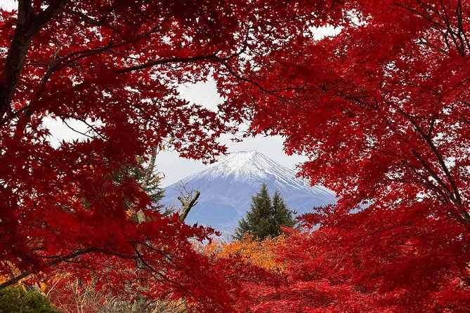 Tokyo: Mt.Fuji & Lake Kawaguchiko 1-Day Bus Tour w/Optional Lunch - The 398 steps to Chureito Pagoda