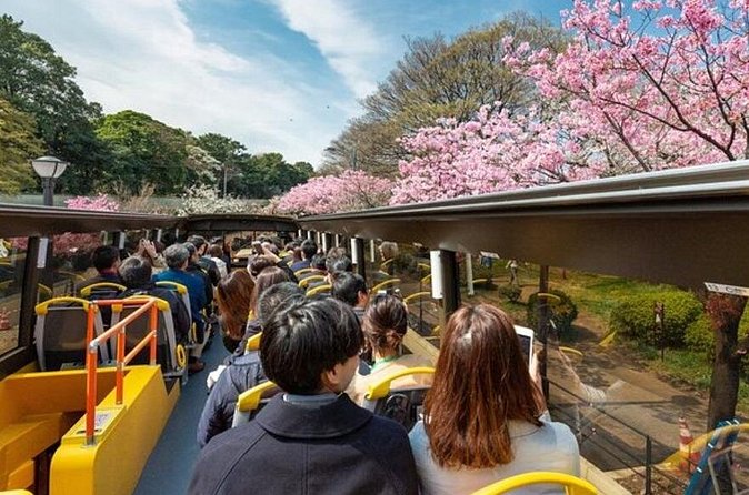 Tokyo: Open Top Sightseeing Bus with Audio Guide - Who gets the most value from this experience