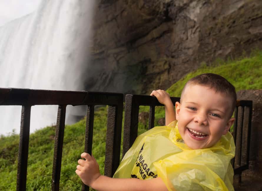 Toronto: Niagara Falls Bus Tour with Maple Tasting and NOTL - Three and a half hours around Niagara Falls