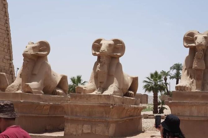 Tour In Luxor From Hurgharda By Bus - Why this Hurghada to Luxor trip is worth considering