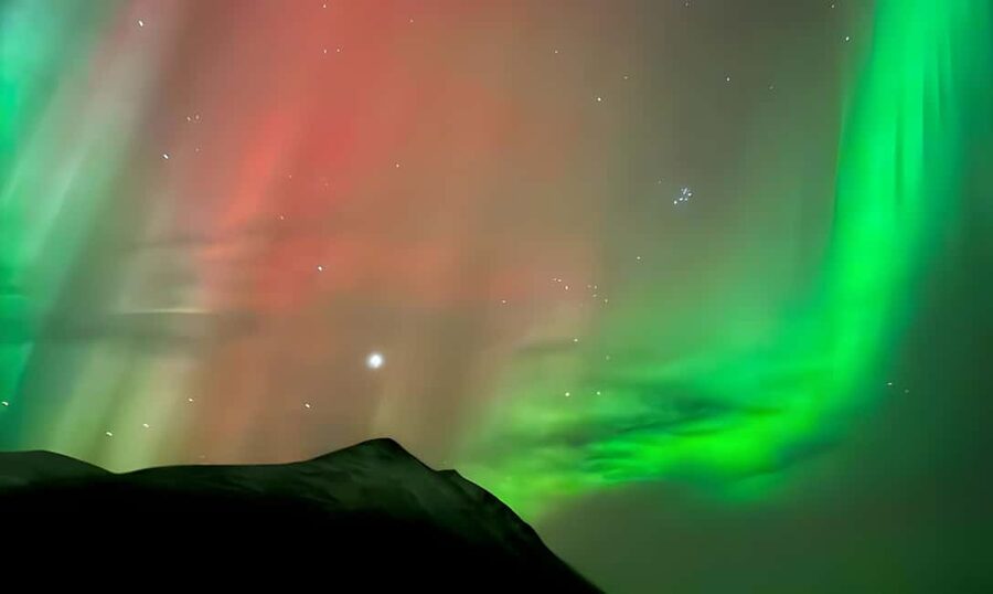 Tromsø: Northern Lights Bus Tour with Free Photography - Is $61 a fair price?