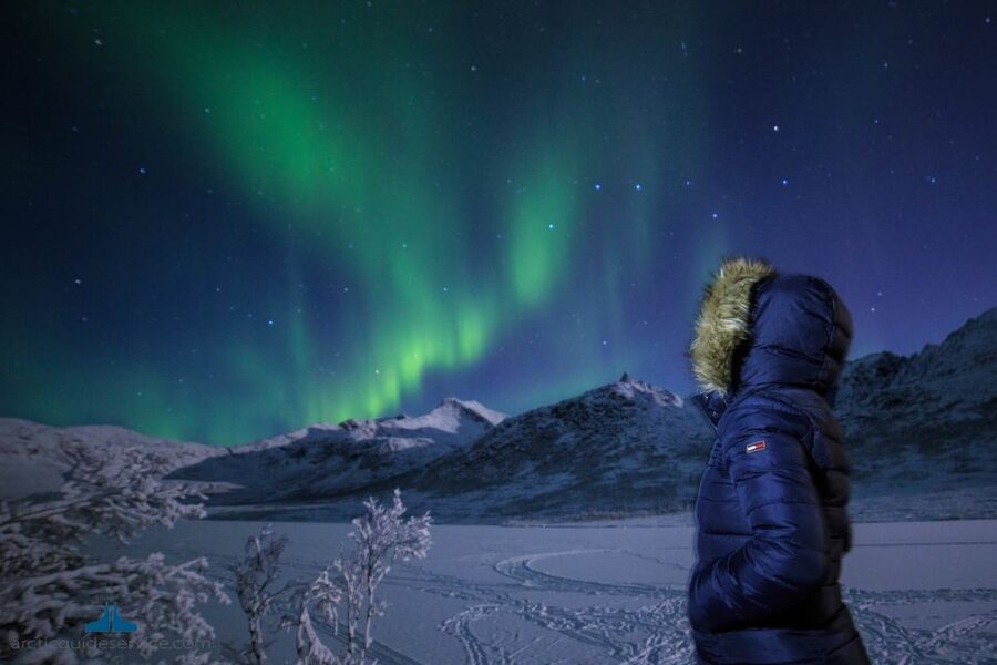 Tromso: Northern Lights Chase with Photo Package Included - Staying warm during a long Arctic night