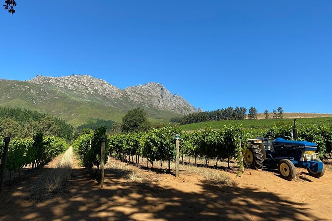 Vine Hopper: Hop-On Hop-Off Wine Tour - Northern Route - A flexible start in central Stellenbosch