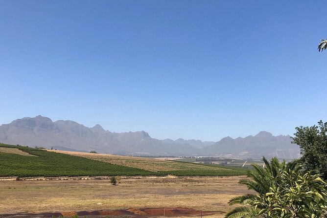 Vine Hopper: Hop-On Hop-Off Wine Tour - Northern Route - The real meaning of hop-on hop-off here