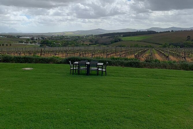 Vine Hopper: Hop-On Hop-Off Wine Tour - Southern Route - Six stops, six different reasons to get off