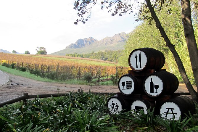 Vine Hopper: Hop-On Hop-Off Wine Tour - Southern Route - How to avoid the most common mistakes
