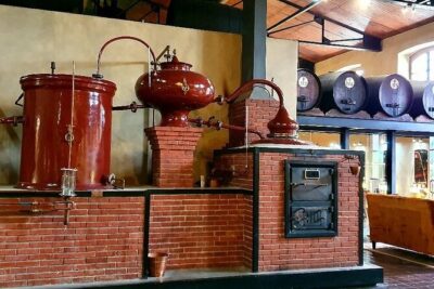 Vine Hopper: Hop-On Hop-Off Wine Tour – Southern Route