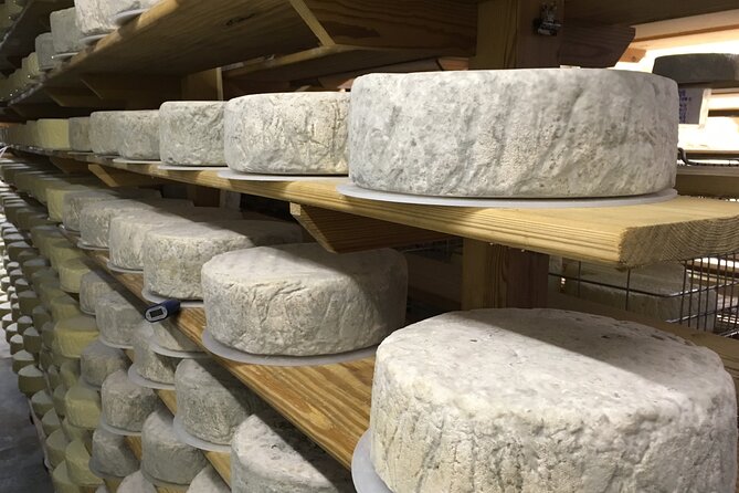 Vineyard & Cheesemaker Bus Tour of Sussex - Starting at the Leonardo Hotel Brighton